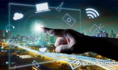 代理IP協(xié)助網(wǎng)絡(luò)爬蟲(chóng)高效抓取